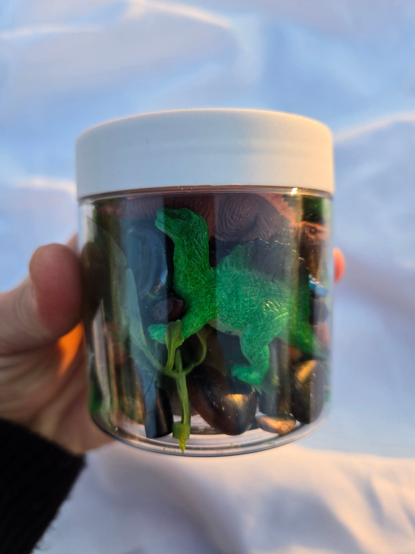Dinosaur Dough to-go Jar