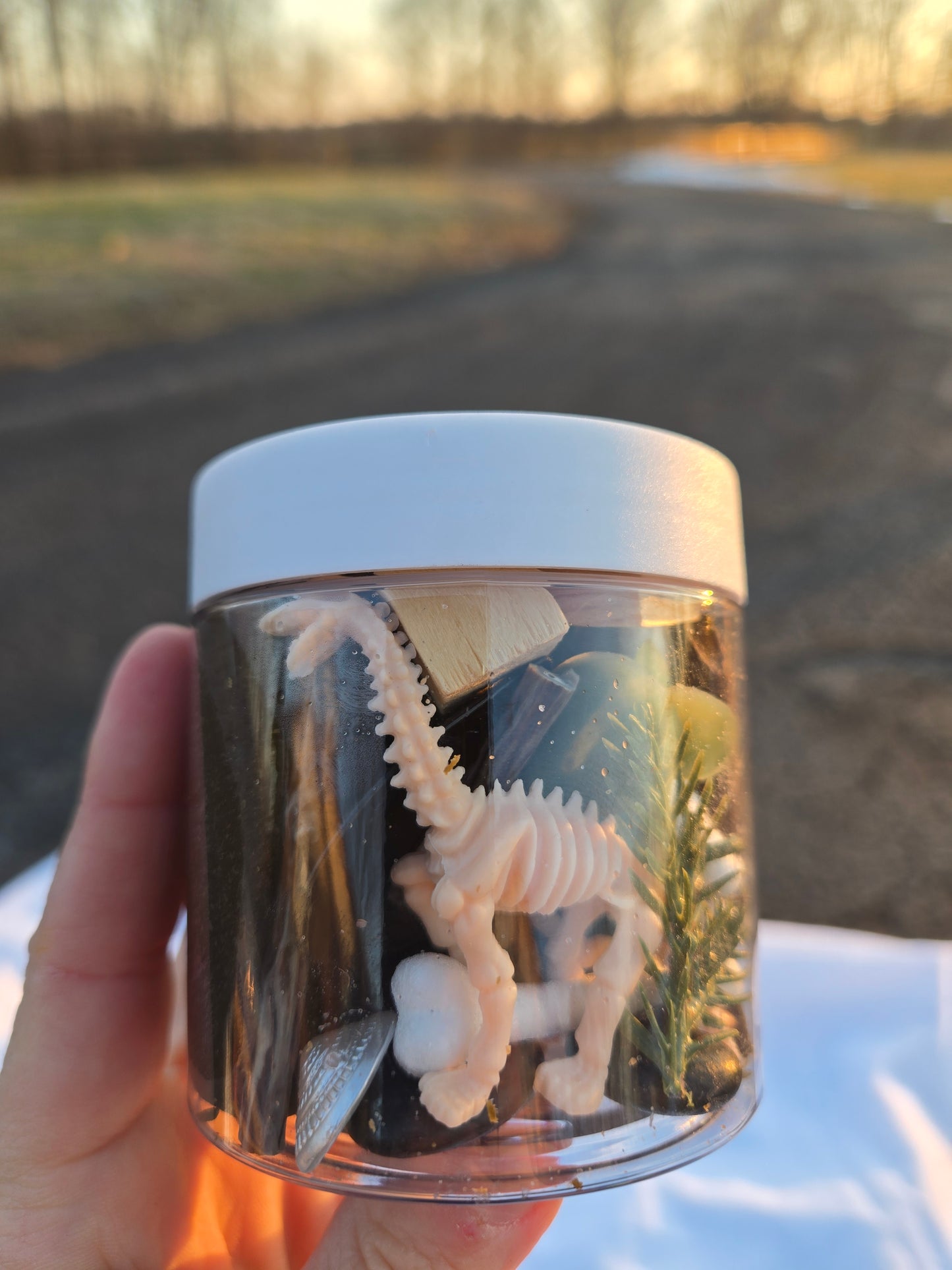 Dino-Fossils Dough to-go Sensory Play Dough Lit