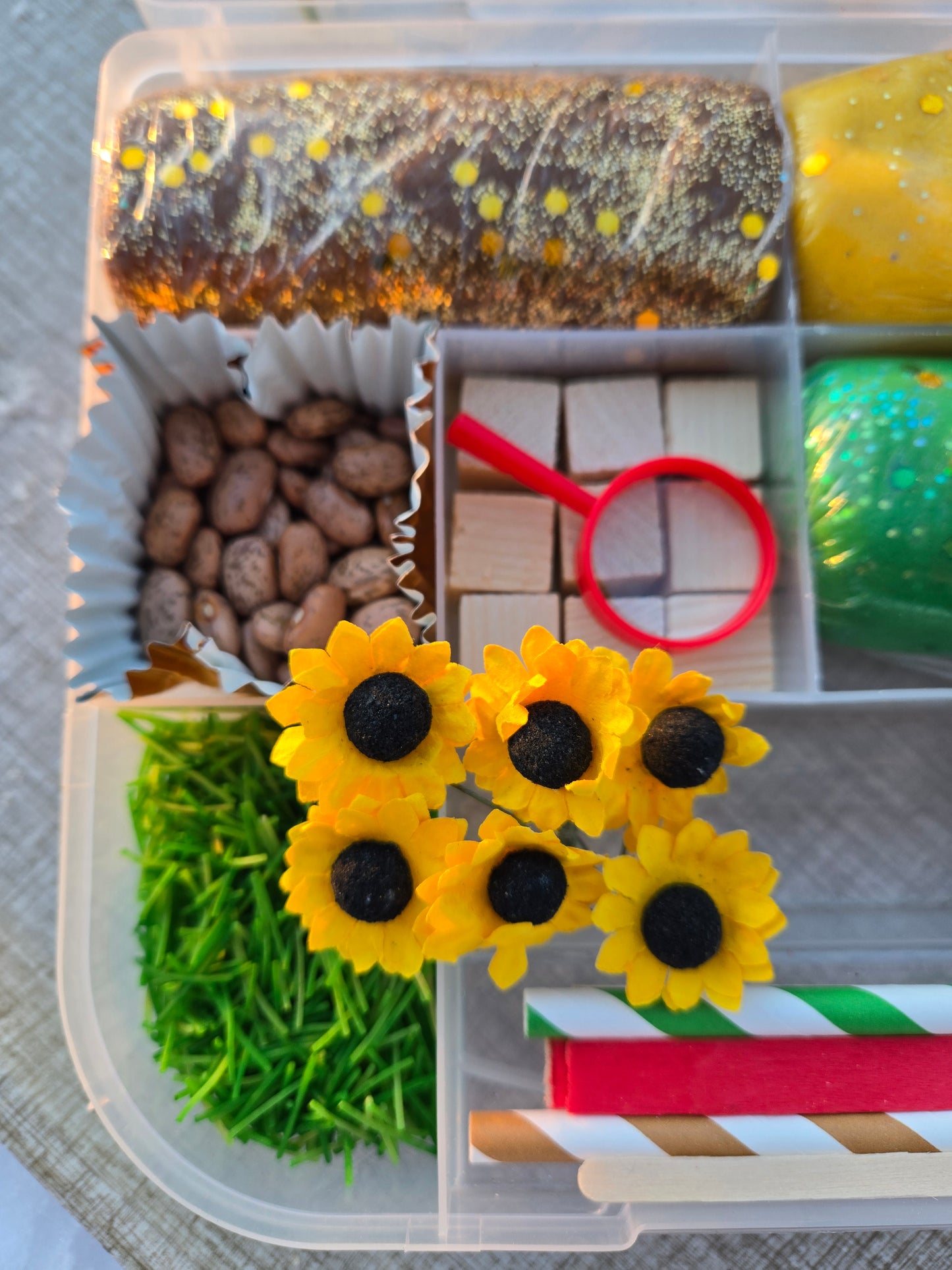 Farm living Sensory Dough Kit