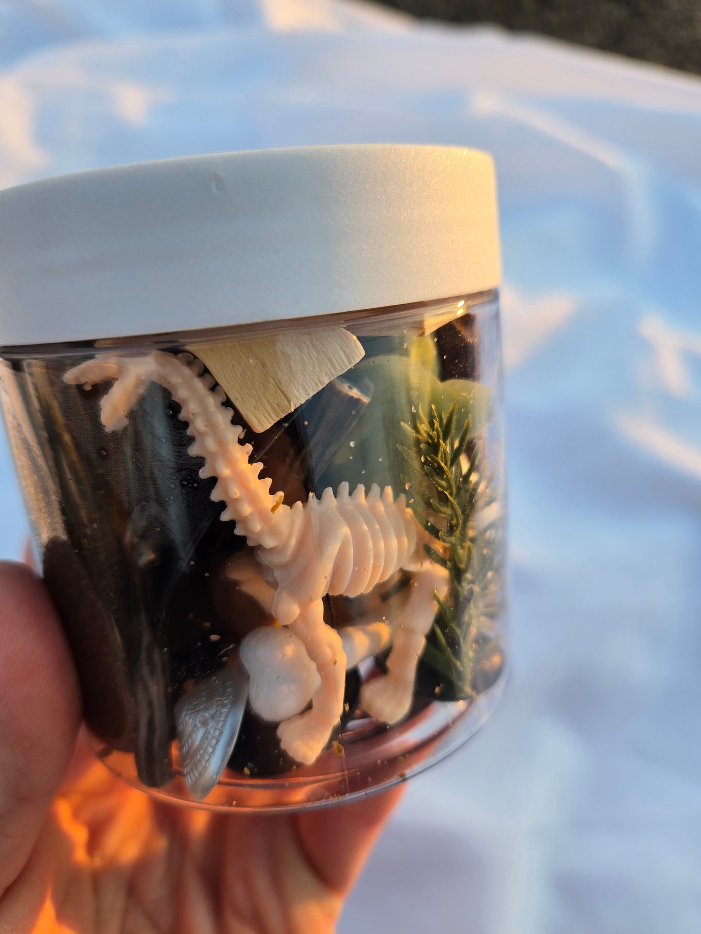 Dino-Fossils Dough to-go Sensory Play Dough Lit