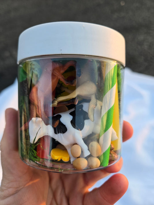 Farm themed Dough to-go Jar