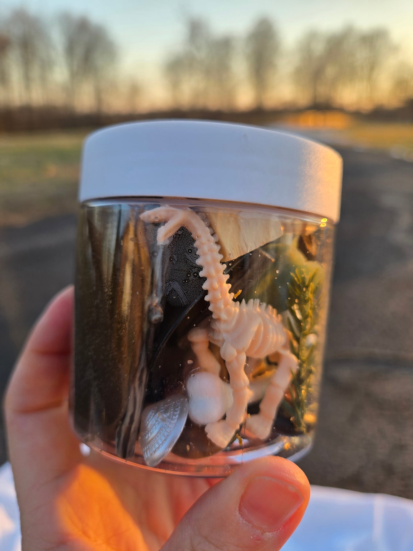 Dino-Fossils Dough to-go Sensory Play Dough Lit
