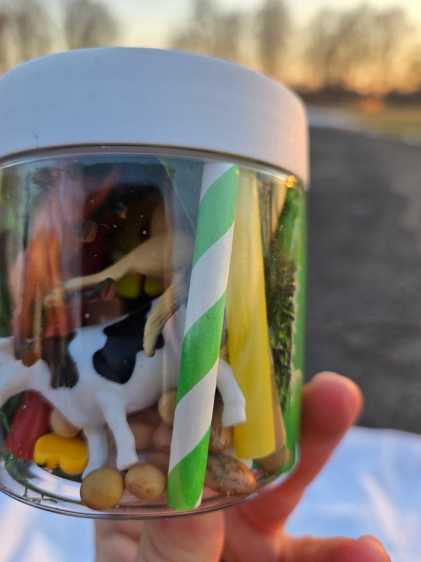 Farm themed Dough to-go Jar
