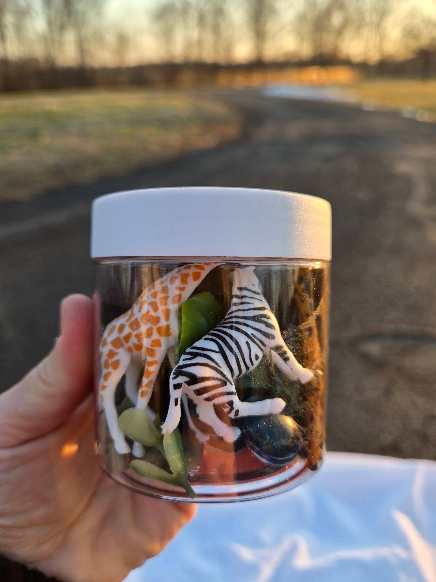Sensory Safari Dough to-go Play dough Jar
