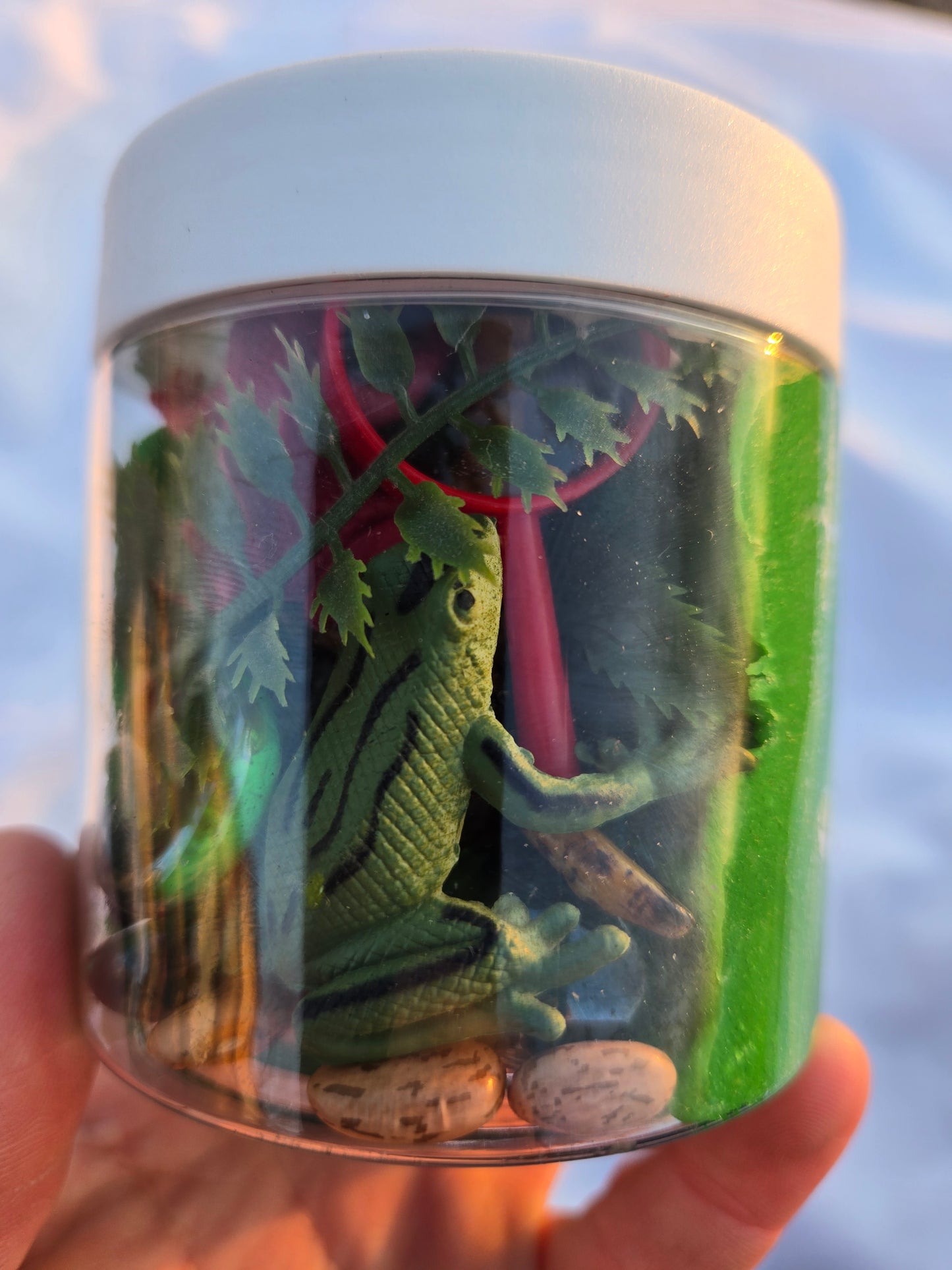 Toad-ally Awesome Frog Dough to-go Jar