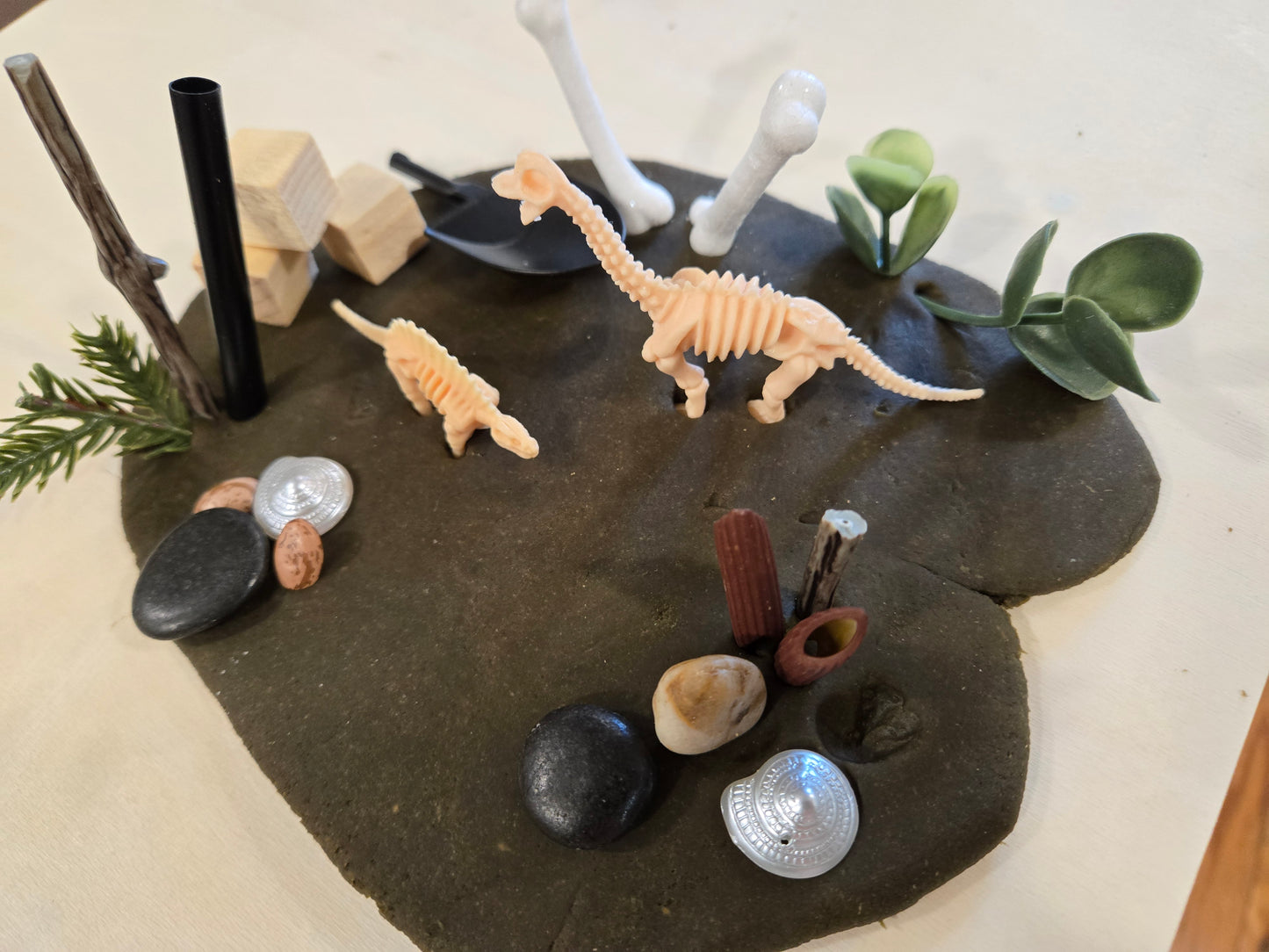 Dino-Fossils Dough to-go Sensory Play Dough Lit