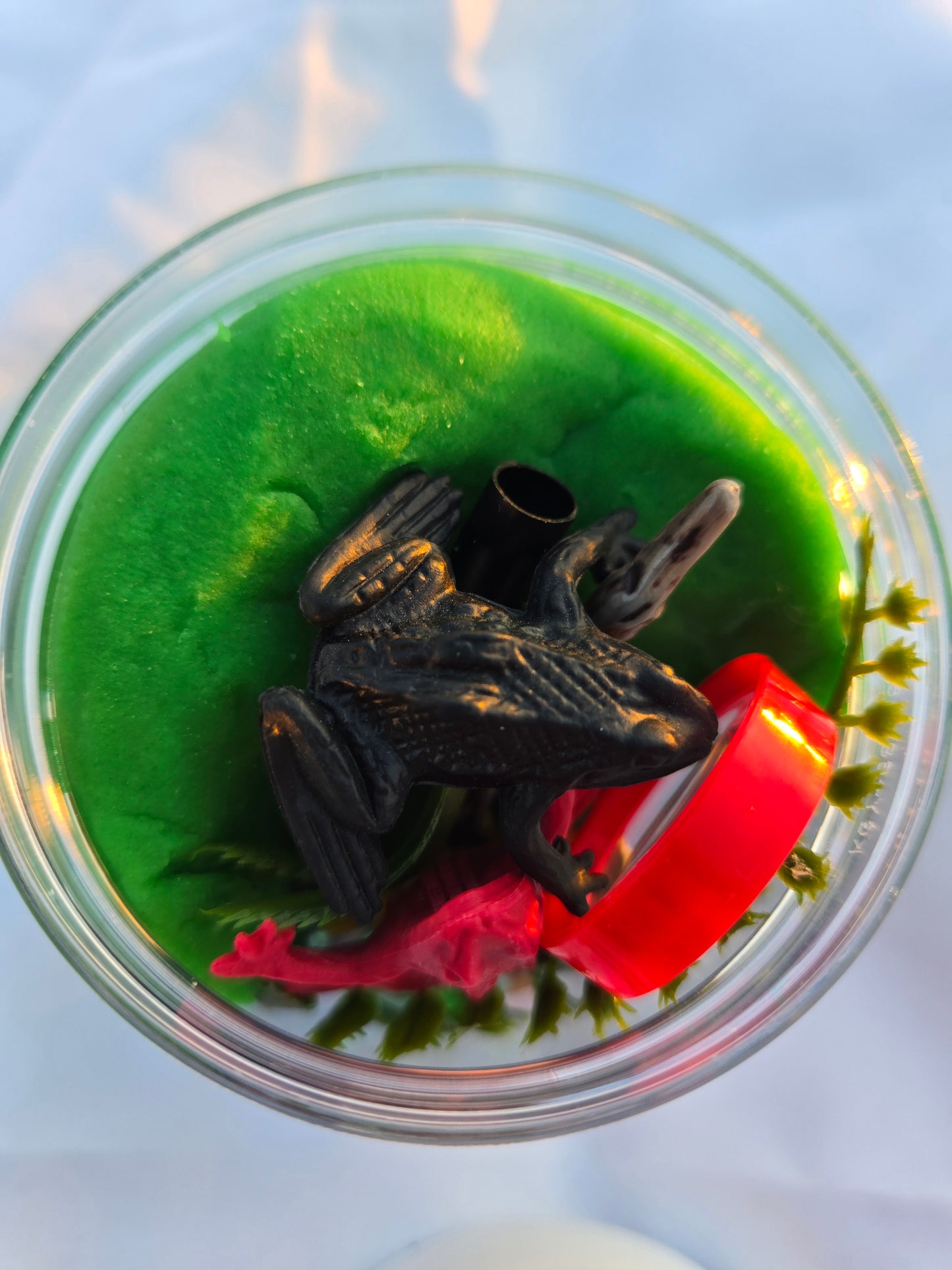 Toad-ally Awesome Frog Dough to-go Jar
