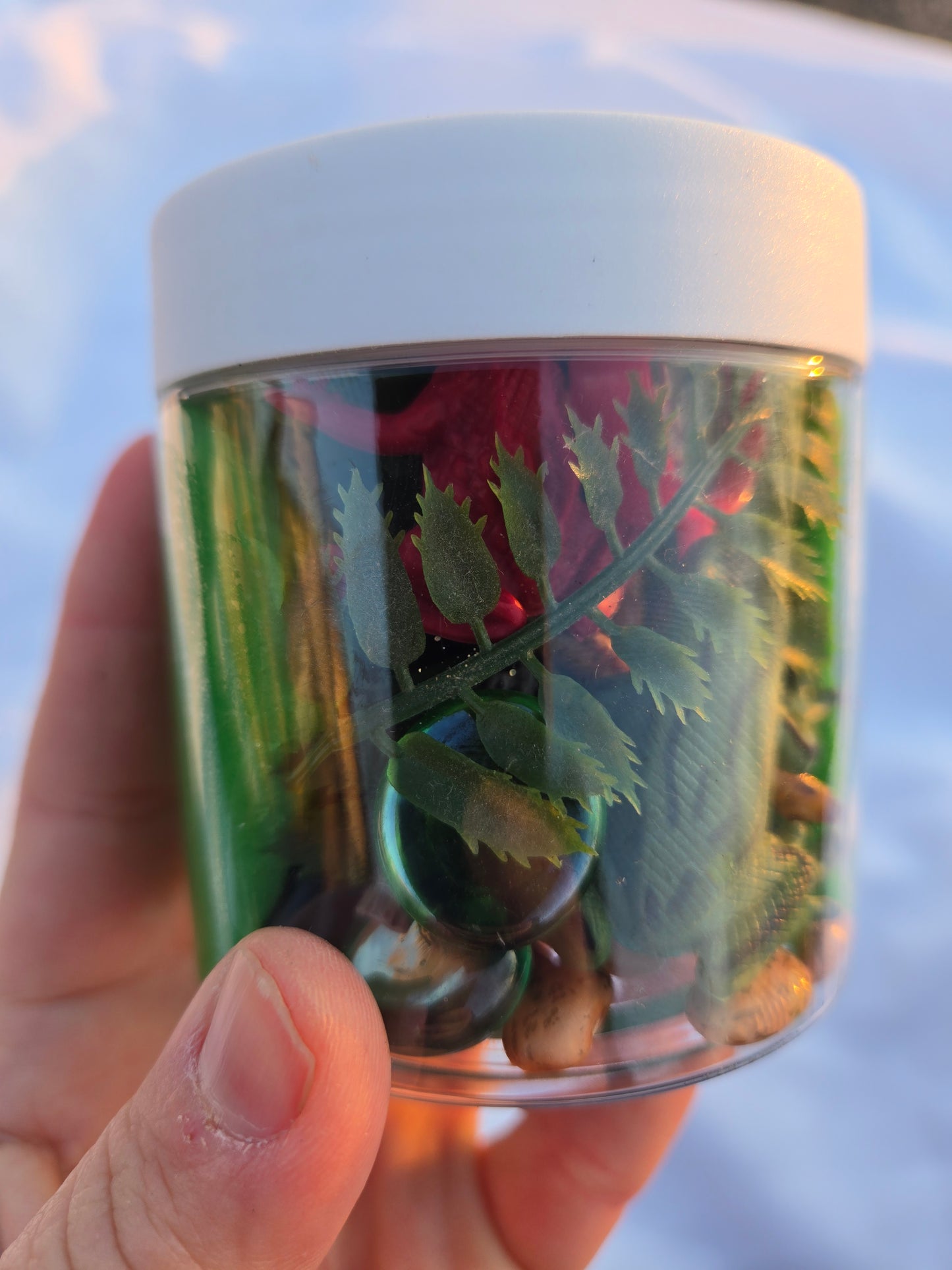 Toad-ally Awesome Frog Dough to-go Jar
