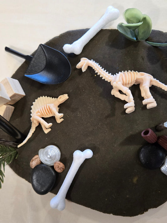 Dino-Fossils Dough to-go Sensory Play Dough Lit