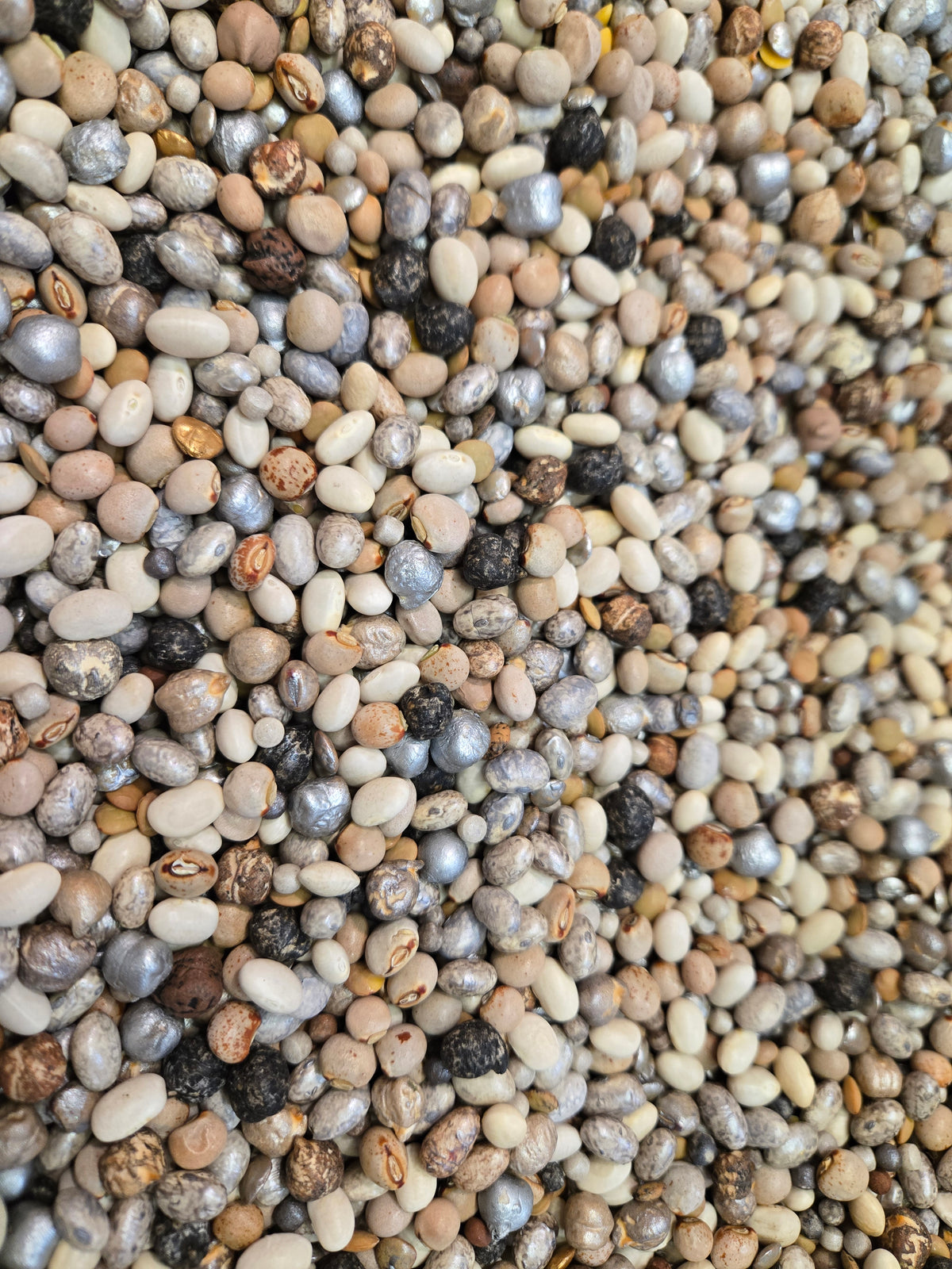 River Rocks