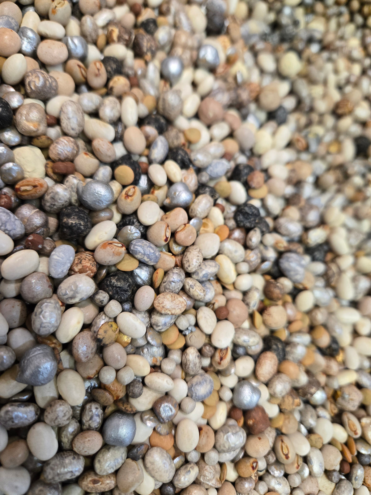 River Rocks