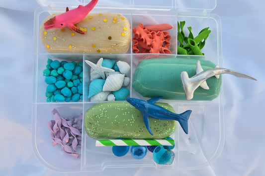 Ocean Explorer Sensory Dough Kit