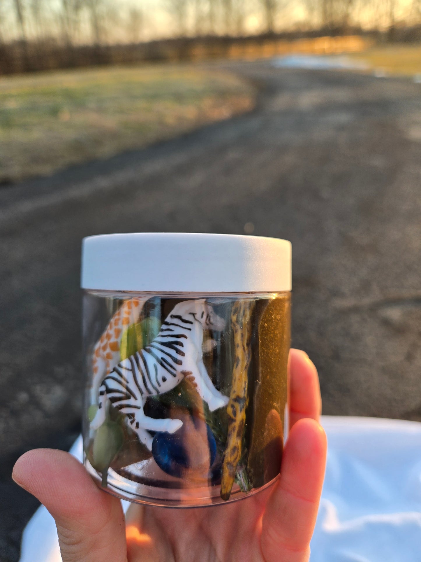 Sensory Safari Dough to-go Play dough Jar